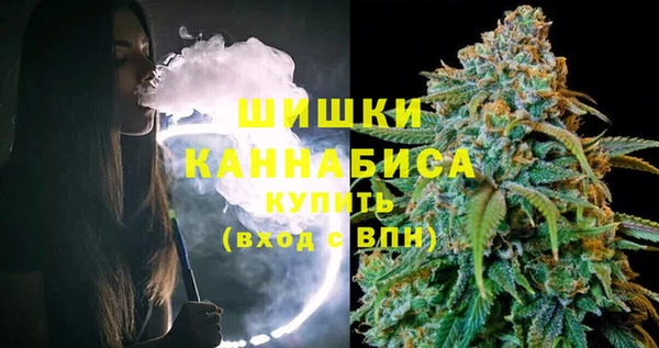 сатива Баксан