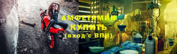 сатива Баксан