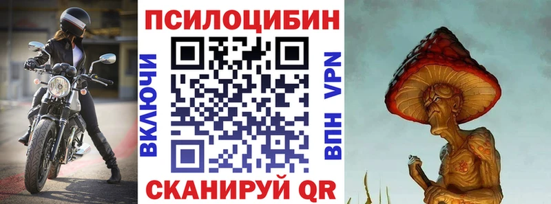 сколько стоит  Сатка  Псилоцибиновые грибы прущие грибы 